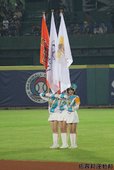 IMG_6502.JPG