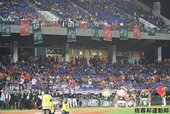 IMG_6517.JPG