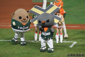 IMG_6632.JPG
