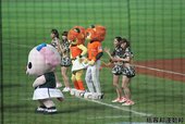 IMG_7000.JPG