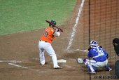 IMG_7343.JPG