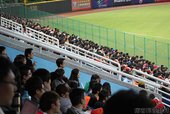 IMG_7382.JPG