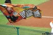 IMG_7392.JPG