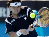 David Ferrer