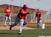 Johnny Cueto