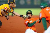38 抓到你了