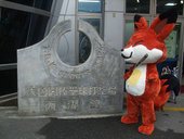 痞客狐 Happix 因為太大隻了 根本無法擠進打擊道啊 XD