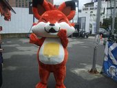 痞客狐 Happix 吃飽好上路？