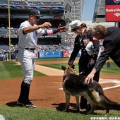 A-Rod 開場要與美女抱抱卻被小狗阻攔