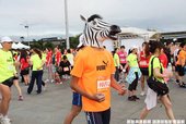 IMG_6729