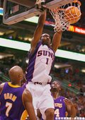 Amare Stoudemire -- 共 2 次單場罰球次數超過 20 次
