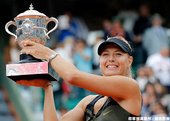 Sharapova 大豐收，搶下后座 奪回球后