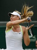 Sharapova 遇雨停賽