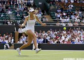 Sharapova 淘汰了謝淑薇