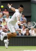 Djokovic 以 3 比 1 淘汰 Stepanek
