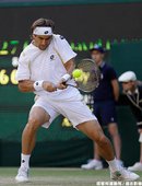 Ferrer 淘汰了 Roddick