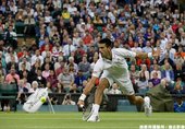 Djokovic 直落三淘汰 Troicki