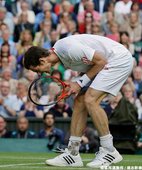 Murray 擊敗 Tsonga ，晉級最終冠軍戰