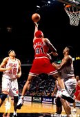 形象鮮明搞怪的 Rodman