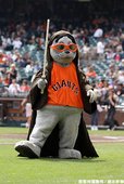 Lou Seal 扮成絕地武士