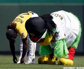Pirate Parrot 和 Andrew Mccutchen 一起熱身