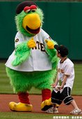 Pirate Parrot 和小球迷互動