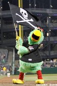 匹茲堡海盜 Pirate Parrot