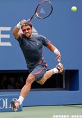 Ferrer 與 Tipsarevic 苦戰五盤後，Ferrer 挺進四強
