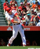 天使近況火熱　馴服老虎摘下6連勝
