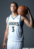 灰狼 -- Brandon Roy