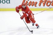 NHL-Pavel Datsyuk