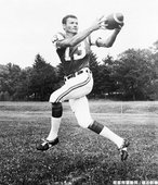 NFL-Don Maynard