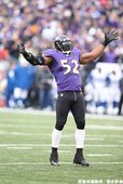 烏鴉隊明星球員 Ray Lewis 最後一次在主場出賽