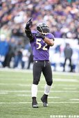 烏鴉隊明星球員 Ray Lewis 最後一次在主場出賽