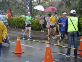 2013 MIZUNO臺中健康活力路跑賽
