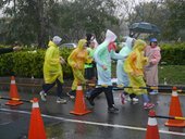 2013 MIZUNO臺中健康活力路跑賽