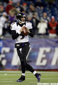 烏鴉四分衛 Joe Flacco