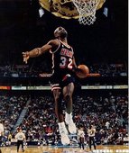 1993 -- Harold Miner