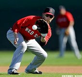 Dustin Pedroia