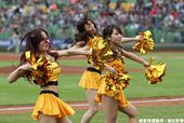 啦啦隊女郎