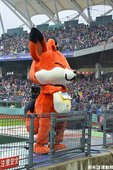 台灣區預賽場邊花絮