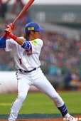 陽岱鋼