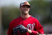 Bryce Harper