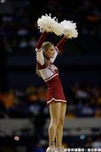 NCAA 場邊啦啦隊