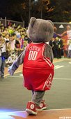 IMG_3377.JPG