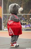 IMG_3453.JPG