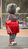 IMG_3454.JPG