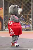 IMG_3455.JPG