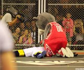 IMG_3548.JPG