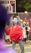 IMG_3576.JPG
